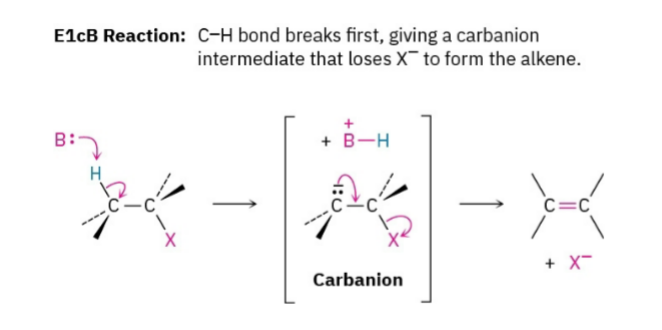 <p><strong>Elimination Unimolecular <u>conjugate Base</u></strong>. Think of it as the mirror-image opposite of an E1 reaction. In a normal E1 reaction, the leaving group falls off first. In E1cB, the <strong>hydrogen is ripped off first</strong>.</p><ul><li><p><strong>Step 1: The Base Grabs a Hydrogen (Fast)</strong></p><ul><li><p>A strong base pulls a hydrogen (β-hydrogen) off the molecule.</p></li><li><p>Instead of forming a double bond right away, the electrons stay on the carbon, forming a negatively charged carbon intermediate called a <strong>carbanion</strong> (the conjugate base of the substrate).</p></li></ul></li><li><p><strong>Step 2: The Leaving Group gets Kicked Out (Slow)</strong></p><ul><li><p>The lone pair of electrons on the negative carbon drops down to make a double bond, which finally pushes the bad leaving group out. Because this step is slow, it determines the reaction rate.</p></li></ul></li></ul><p>This is a less common elimination pathway. It usually occurs when the leaving group is <strong>two carbons away from a carbonyl</strong>, allowing a stabilized carbanion to form before the leaving group departs.</p><p><strong>E1cB</strong> = Hydrogen gets taken first (forms a negative carbon) → leaving group leaves.</p>