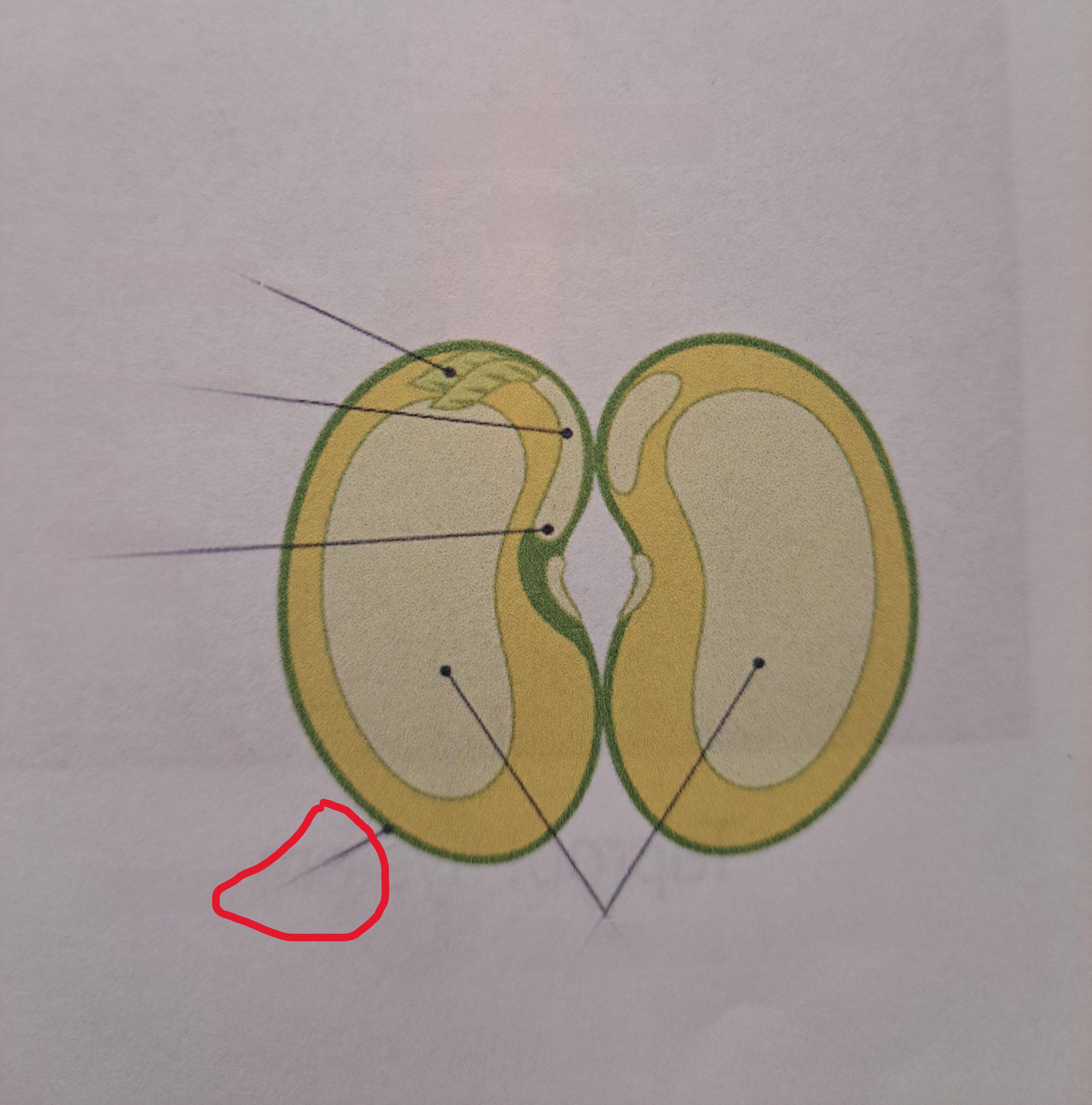<p>What is this?</p>