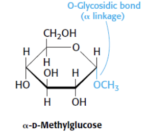 <p>What type of glycosidic bond is it when attached to an alcohol?</p>