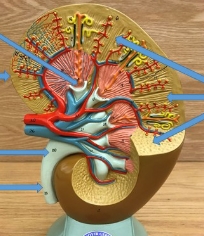 <p>name the parts</p>