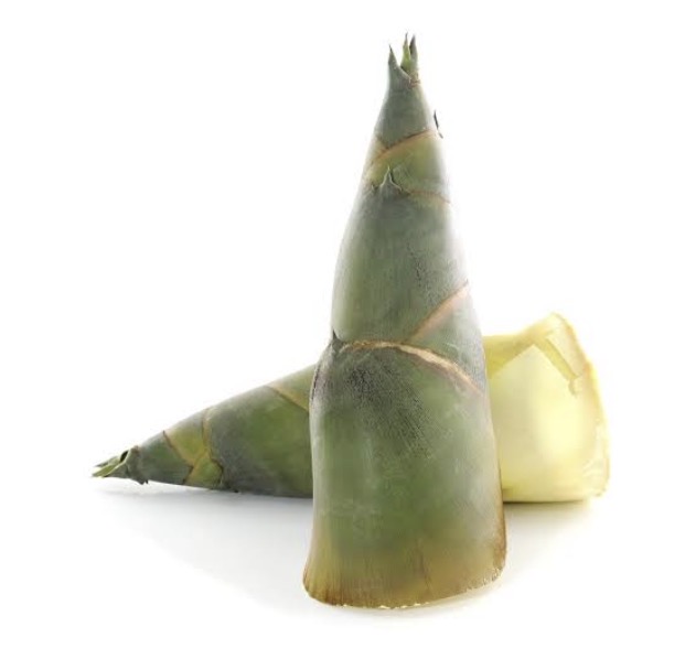 <p>Bamboo shoot</p>