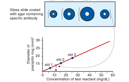 <ul><li><p>RID is a single diffusion technique</p></li><li><p>antibody is in support gel, antigen in a well cut in the gel</p></li><li><p>antigen diffuses out until the point of equivalence is reached (end-point method)</p></li><li><p>square of the diameter is proportional to antigen concentration</p></li></ul><p></p>