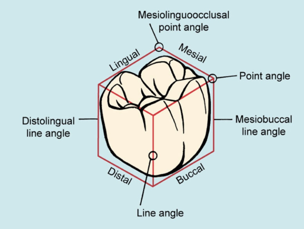 <p>See photo</p>