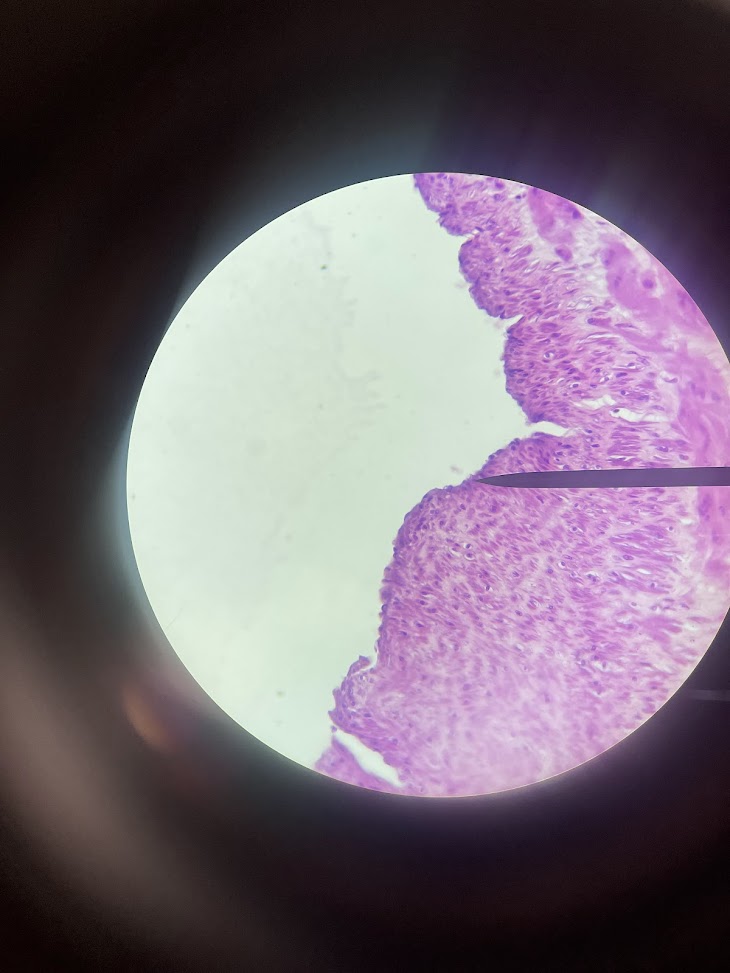 <p>structure name + layer name</p>