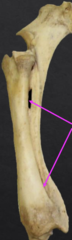 <p>What is the significane of this?</p>