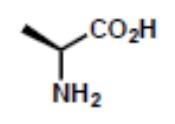 <p>Name, abbreviation, letter, and if applicable, special characteristic </p>