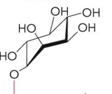<p>Name this glycerophospholipid</p>