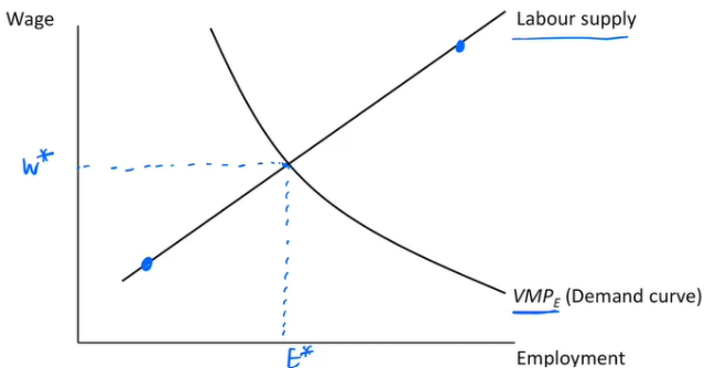 <p>> Profit maximisation point in a perfectly competitive labour market is where labour supply = VMPe</p>