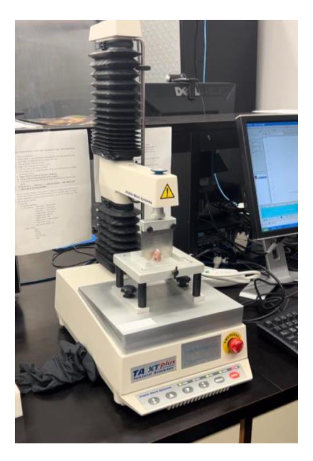 <p>Tenderness evaluation: Warner Bratzler Shear Force</p>