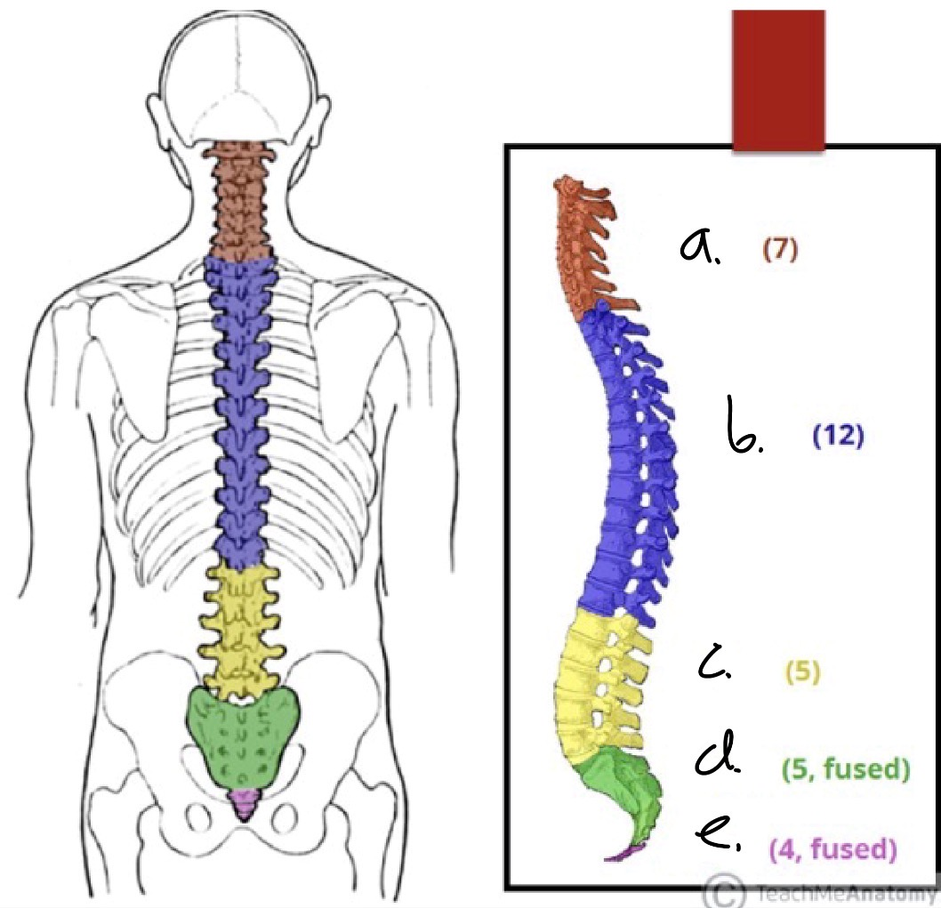 <p>b.</p>