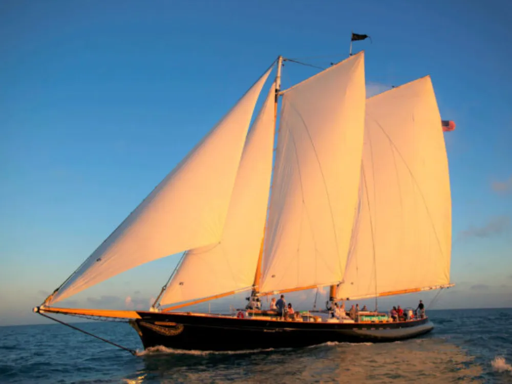 <p></p>