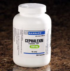 <p>cephalexin</p><p>1st gen oral</p><p>fridge suspension</p>