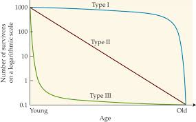 <p>type I: high survivorship during early and middle life, steep drop at older ages</p><p>type II: survivorship declines linearly (constant death rate)</p><p>type III: low survivorship due to high death rates for young groups, stable survivorship later in life (lower death rate for survivors)</p>