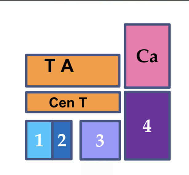 <ul><li><p>1st and 2nd tarsal bone are fused together </p></li><li><p>3rd tarsal bone are as large as central tarsal bone </p></li></ul><p></p>