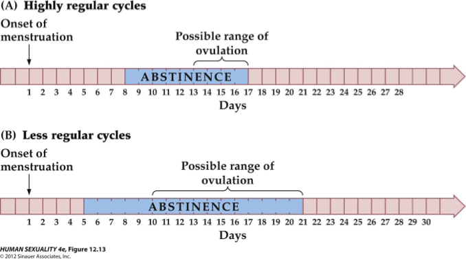 <ul><li><p><strong>Method:</strong> Track menstrual cycle (usually ~28 days) → avoid sex during <strong>possible ovulation window</strong> (~day 8–16).</p></li><li><p><strong>Considerations:</strong> Sperm can survive several days; ovulation timing varies, especially with irregular cycles.</p></li><li><p><strong>Limitations:</strong> <strong>Unreliable alone</strong>; best used in combination with hormonal contraceptives.</p></li></ul><p></p>