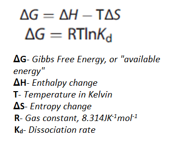 <p>if change in free energy is negative a reaction may occur and reaction is feasible</p><p>feasible reaction is one tends towards products rather than reactants dosent give any indication of rate of reaction</p>