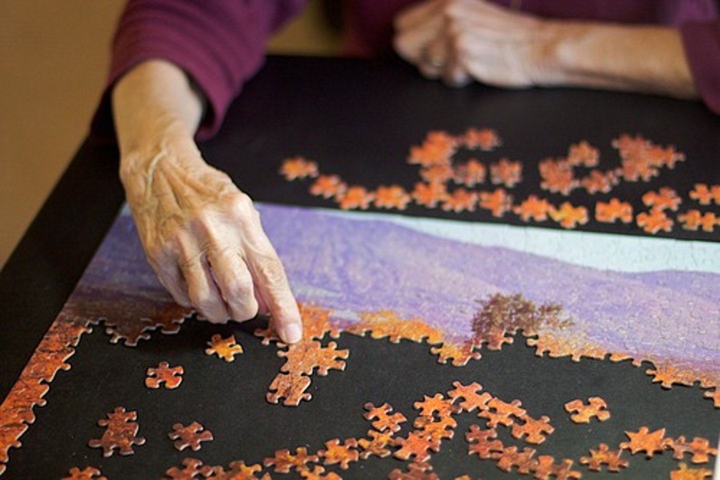 <p>un puzzle</p>