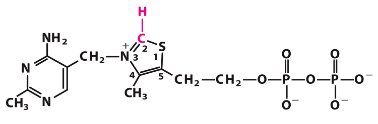 <p>What is this structure?</p>