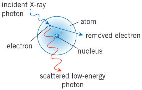 <p>The incoming X-ray photon interacts with an electron within the atom. The electron is ejected from the atom, and the X-ray photon is scattered with reduced energy.</p>