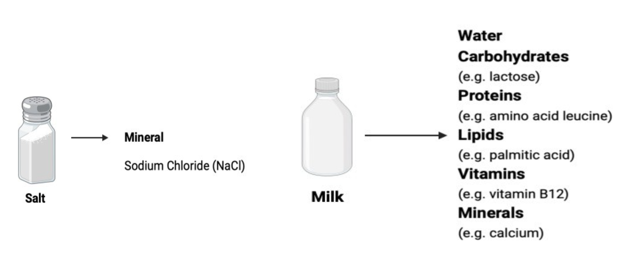 <ol><li><p>water</p></li><li><p>carbohydrates</p></li><li><p>proteins</p></li><li><p>lipids</p></li><li><p>vitamins</p></li><li><p>minerals</p></li></ol><p></p>