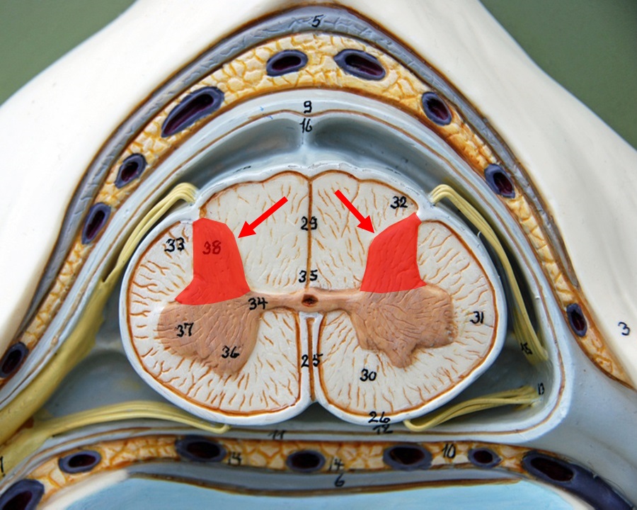 <p></p>