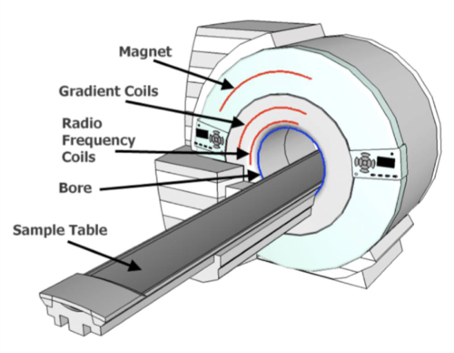 <ul><li><p>Main magnet coils</p></li><li><p>3 gradient coils</p></li><li><p>Integral radiofrequency (RF) transmitter coil</p></li></ul><p></p>