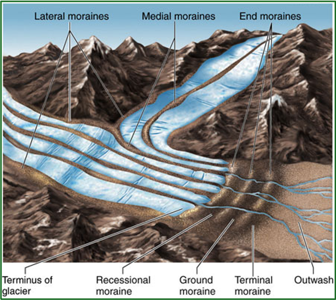<p>Lateral moraine - a ridge of till along the side of a glacier</p><p>Medial moraine - till that has accumulated in the middle of a large glacier due to the merging of two lateral moraines. </p><p>End moraine - an accumulation of till at the glacier’s terminus. These can be recessional, ground, or terminal moraines. </p>