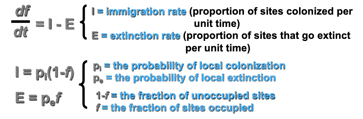 <p>How does the fraction of occupied sites ( f ) change with time?</p><p>If f = 1 then all sites are occupied by populations</p><p>If f = 0 then sites are unoccupied, and populations are extinct</p><p>E is not emigration</p><ol><li><p>If the immigration rate is high &amp; the extinction rate is low the fraction of occupied sites will increase with time (I > E then f )</p></li></ol><p>2. If the immigration rate is low &amp; the extinction rate is high the fraction of occupied sites will decrease with time (I < E then f )</p><p>Can predict the increase and decrease pattern based on colonization and extinction</p>