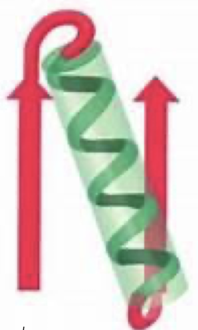 <p>A motif found in proteins that is comprised of an alpha helix sandwiched between two beta sheets</p>