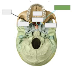 <p>This is the</p>