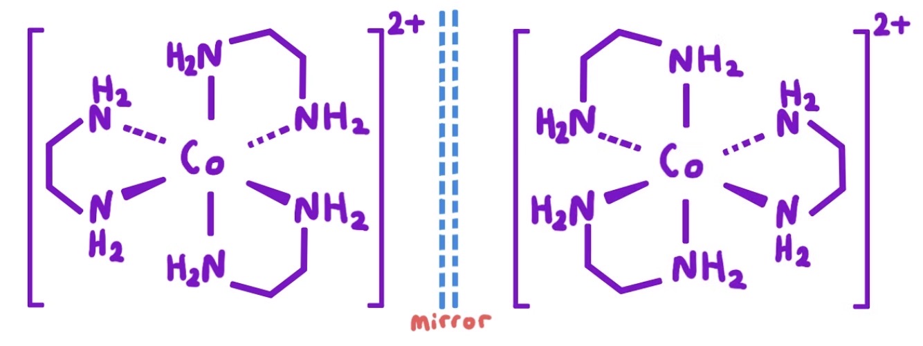 <p>hexaaminecobalt (III) ion, [Co(NH<sub>3</sub>)<sub>6</sub>]<sup>3+</sup> </p><p>octahedral complex with bidentate ligands</p>
