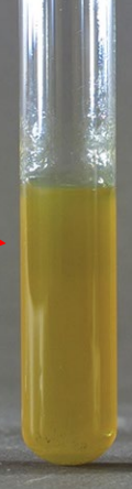 <p>test and result</p>