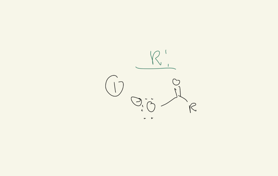 <p>1) Reagent: Anhydride Anion</p>
