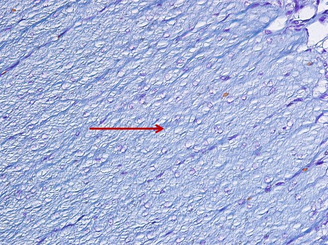 <p>Cấu trúc gì ?</p>