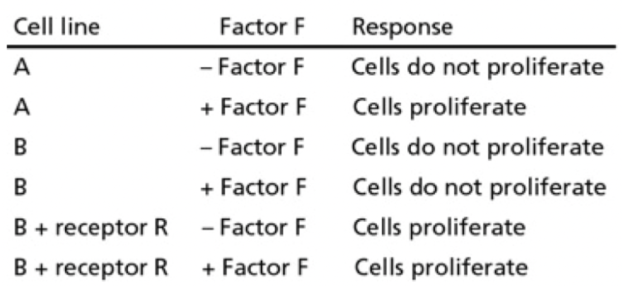 <p><span style="background-color: transparent;"><strong>Cell lines A and B both survive in tissue culture containing serum but do not proliferate. Factor F is known to stimulate proliferation in cell line A. Cell line A produces a receptor protein (R) that cell line B does not produce. To test the role of receptor R, you introduce this receptor protein into cell line B, using recombinant DNA techniques. You then test all your various cell lines in the presence of serum for their response to factor F, with the results summarized in Table 16-1</strong></span></p><p><br><span style="background-color: transparent;"><strong>Which of the following CANNOT be concluded from your results above?</strong></span></p>