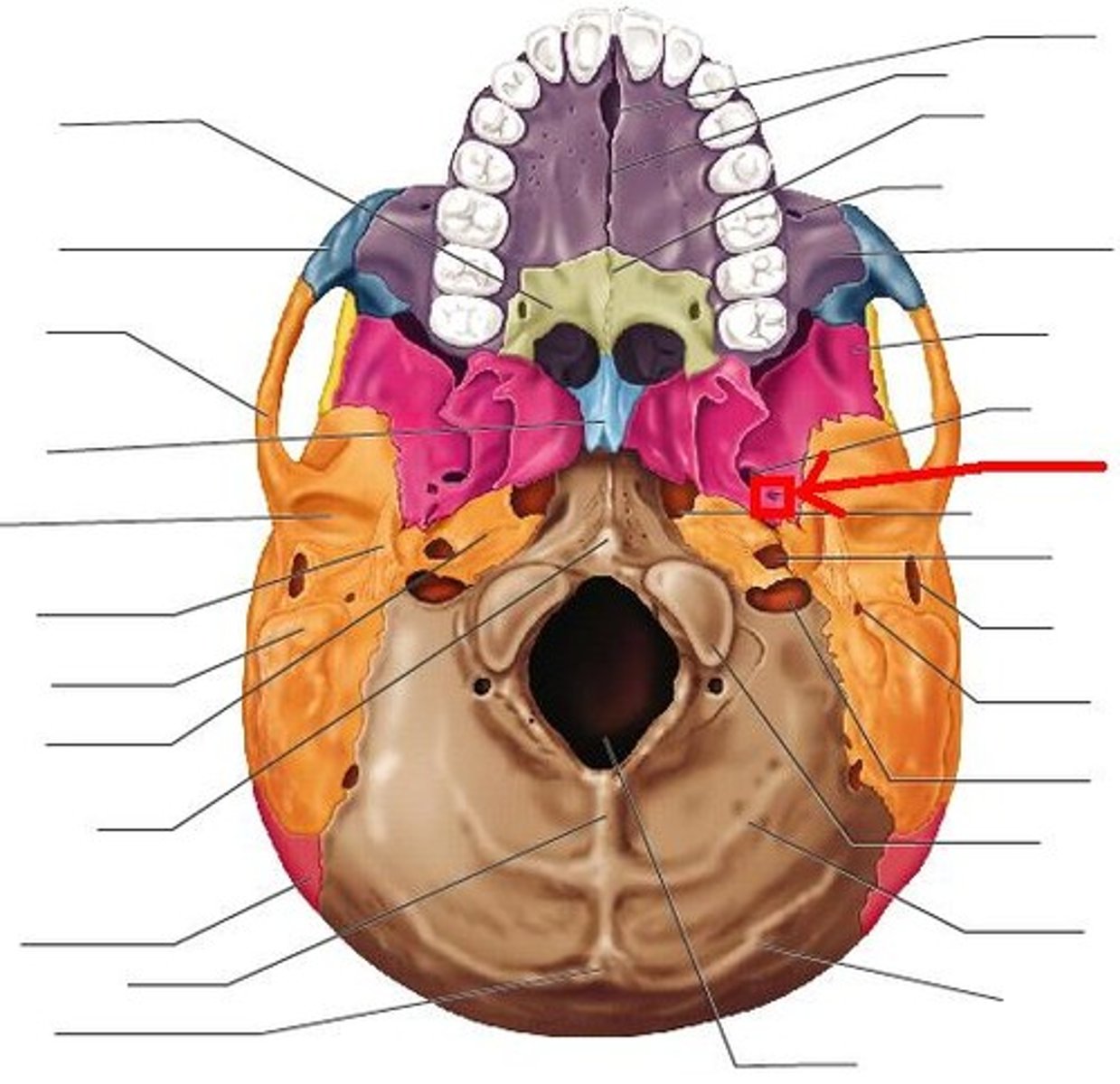 <p>ID opening</p>