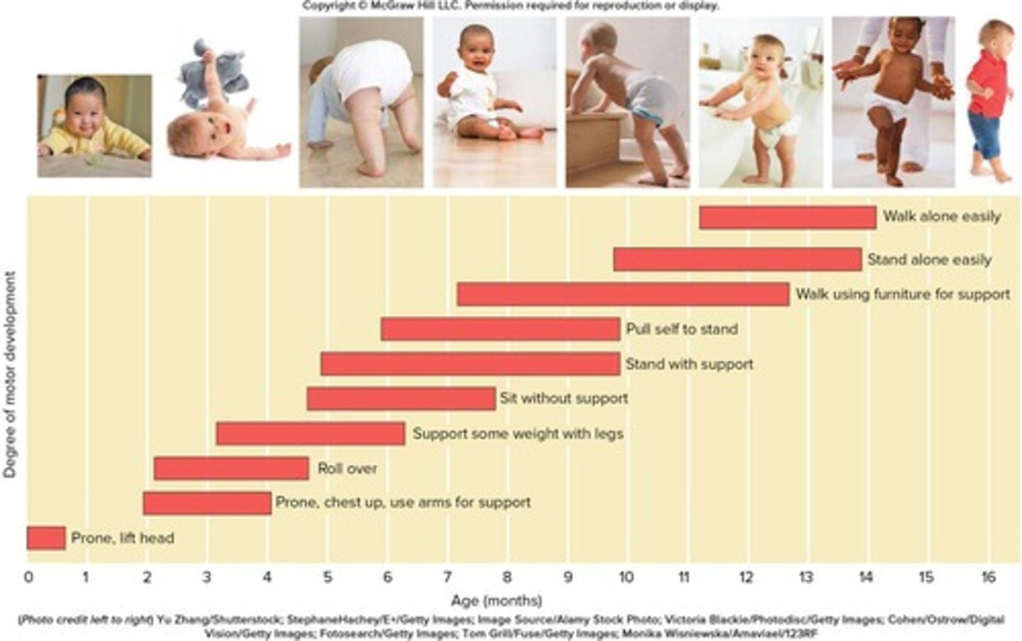 <p>Includes lifting head, rolling over, sitting without support, standing with support, and walking alone.</p>
