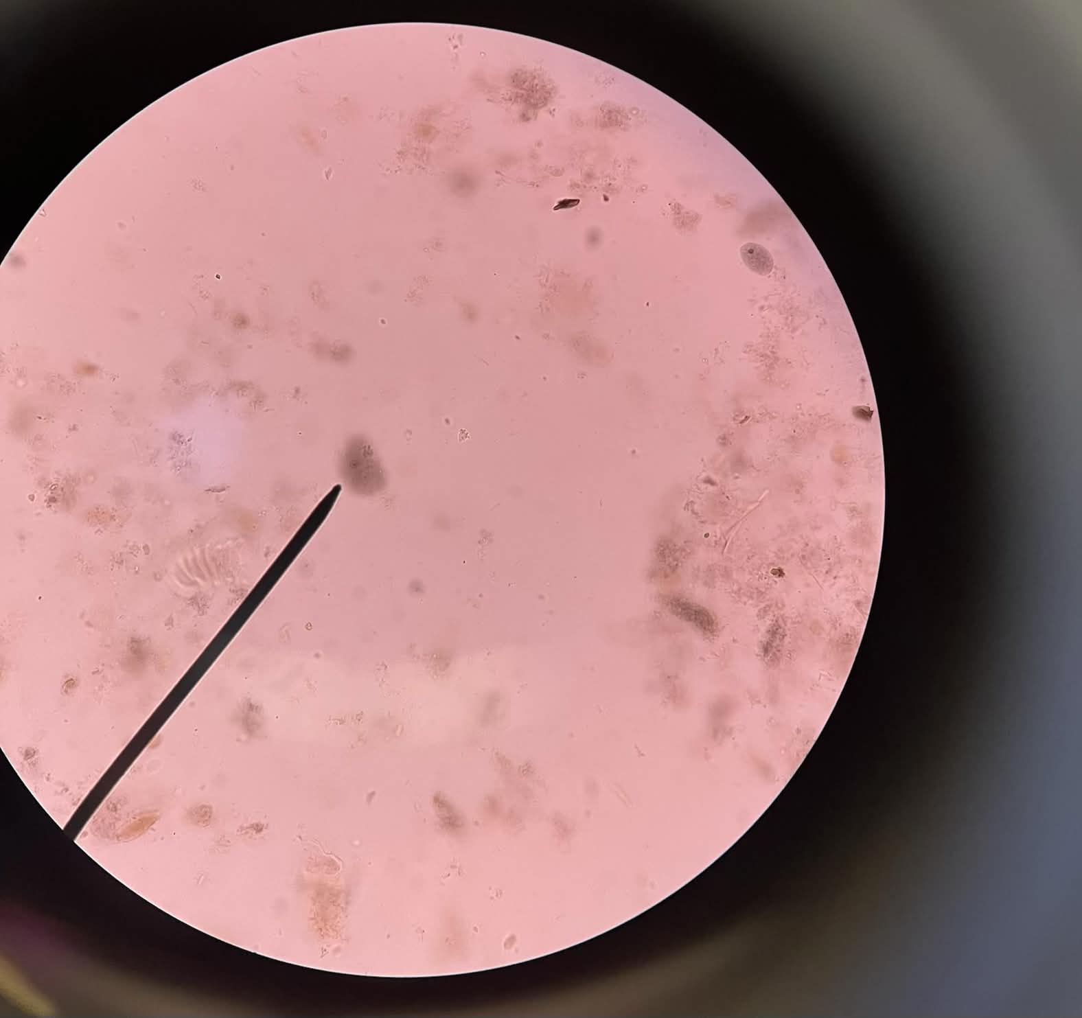 <p>What is this?</p>