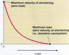 <p>isotonic; isometric</p>