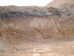 <p>Soil particles that are less than 0.002mm in diameter.</p>