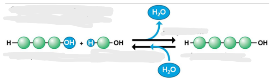 <p>Label the following parts of the reaction</p>