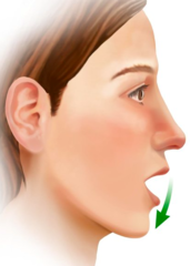 <p>lowering a body part inferiorly</p>