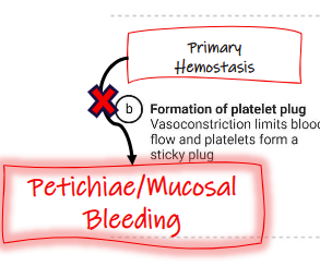 <p>muscosal bleeding</p>