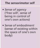 <p>Based on sense of agency and embodiment</p>