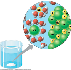 <p>The polarity of water allows it to dissolve most other substances, simply because most other substances encountered in living systems are themselves polar molecules, with positive and negative poles on them.</p>