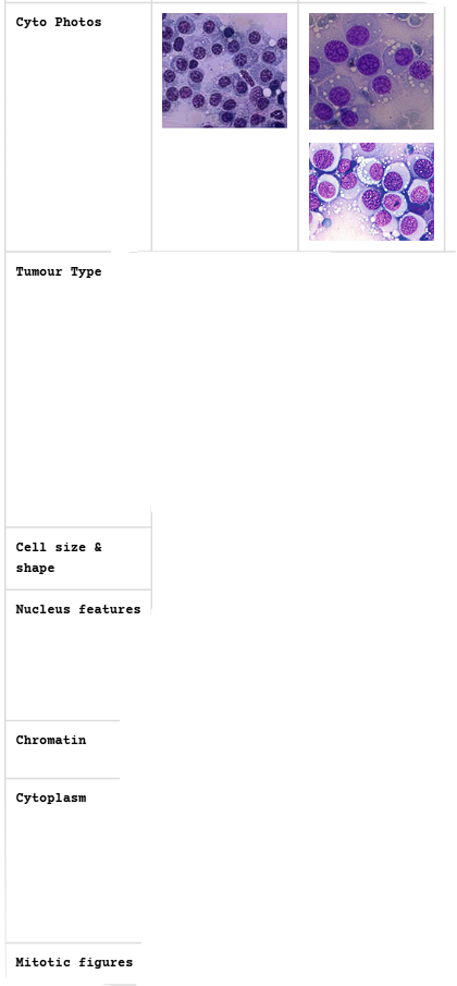 <p>Round Cell Tumours - Cytologic Characteristics</p>