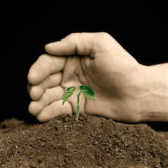 <p>to maintain</p>