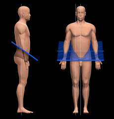 <p>A longitudinal or transverse plane that is angled.</p>
