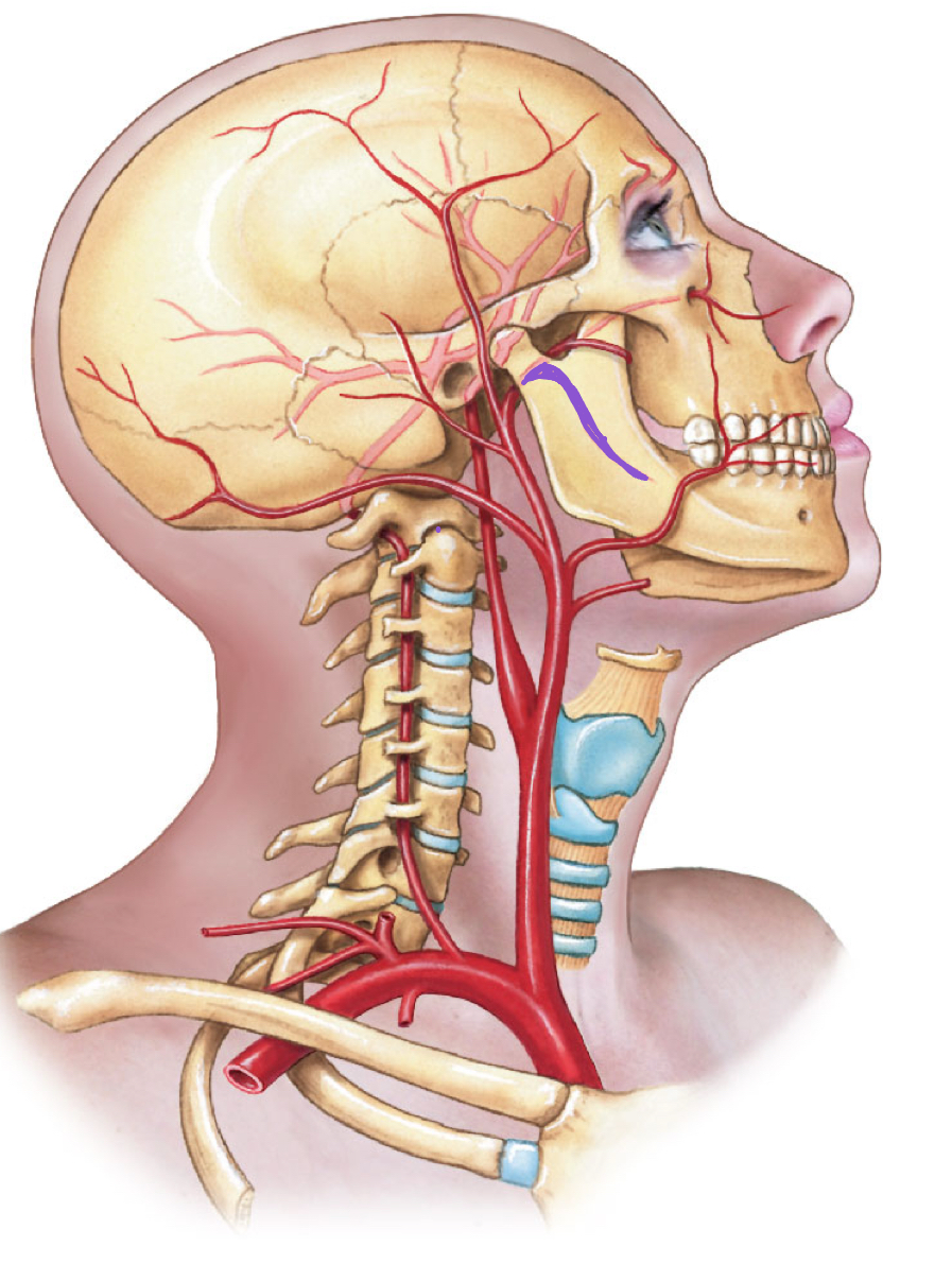 <p>diagram </p>