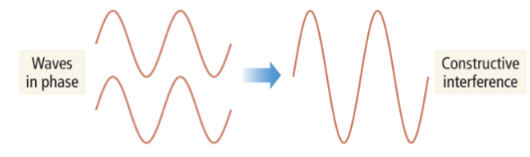 <p>When two waves in phase meet and combine, adding their amplitudes</p>